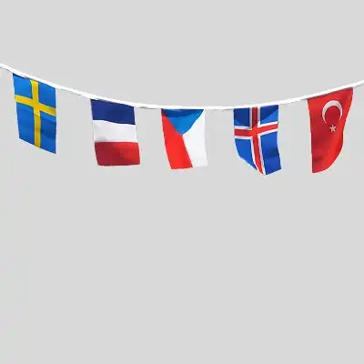 Bunting Flags
