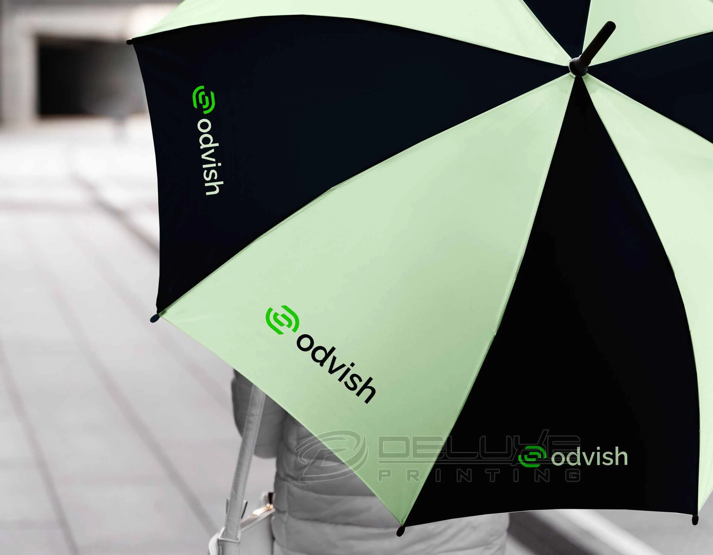 Umbrella Image
