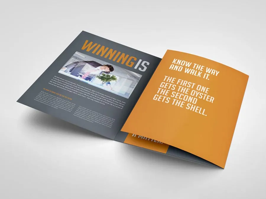 A4 Trifold Brochures Image