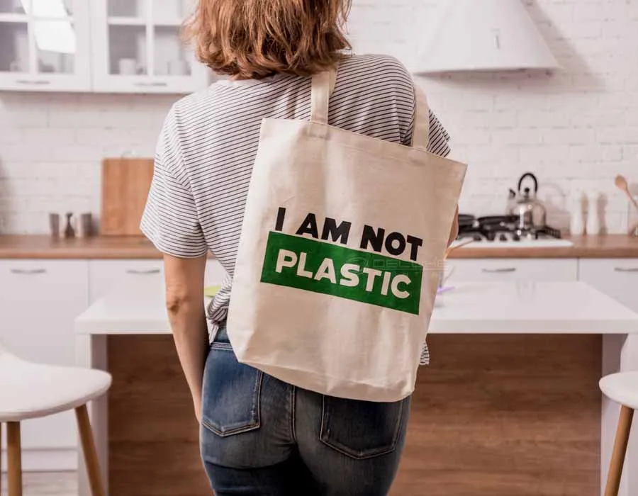 Canvas Bags Beige Dubai Image