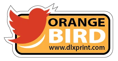 Custom Border Main Image