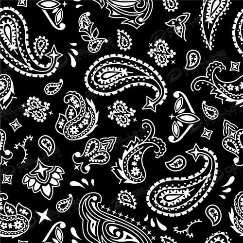Decorative Pattern Design Template 10 Image