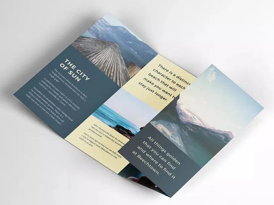 Trifold Brochures Image