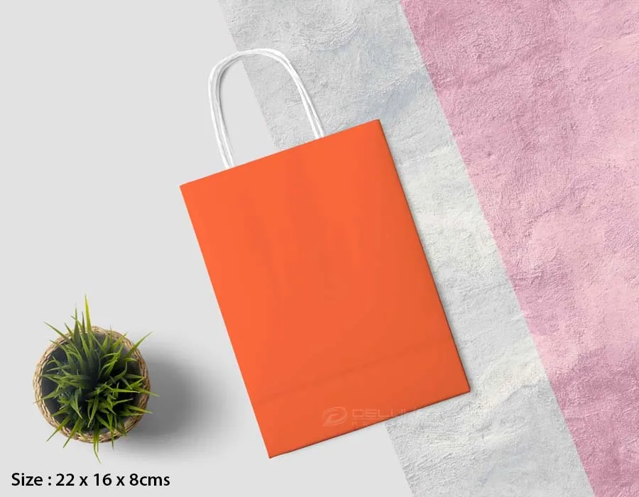 Kraft Bags Colors Printing Dubai Second Image