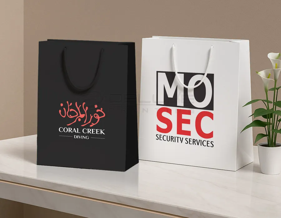 Printed Paper Bags Dubai Image