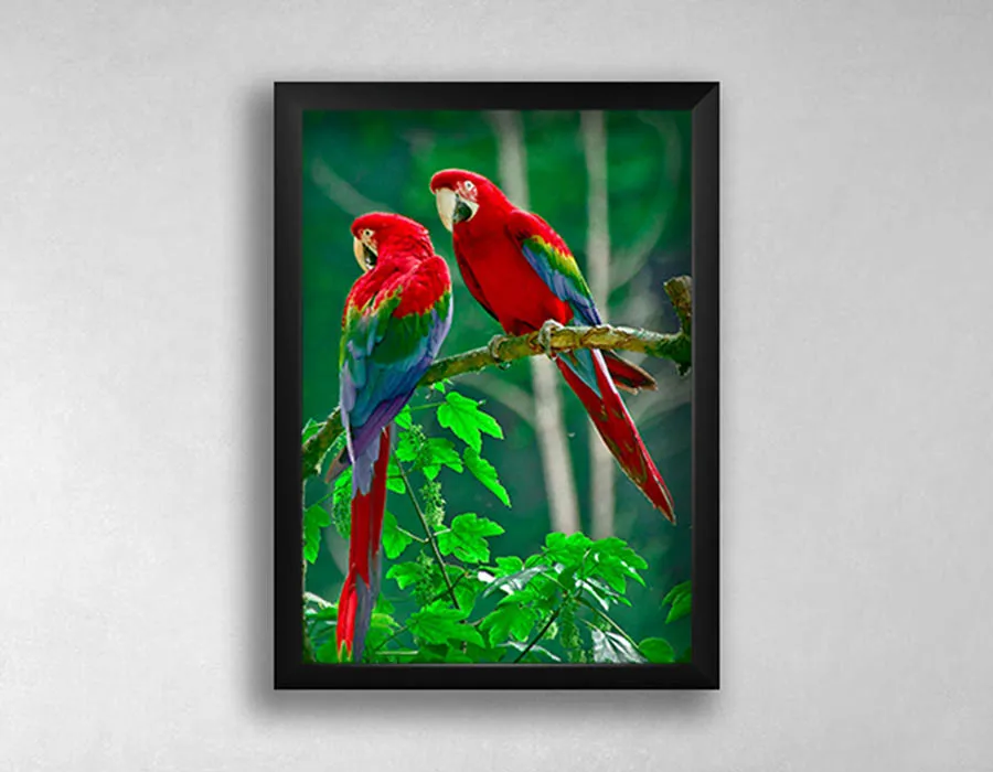 Picture Wooden Frames Dubai